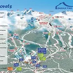 Pm Services Flora * Boroveț