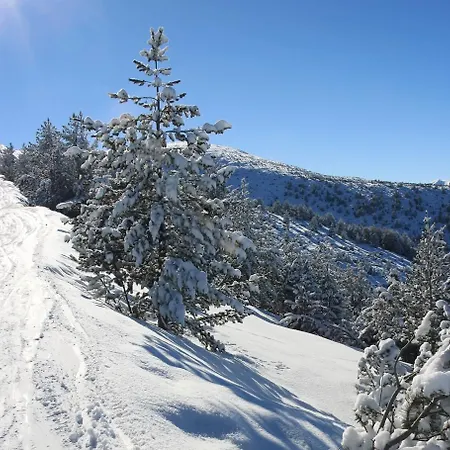 Pm Services Flora شقة