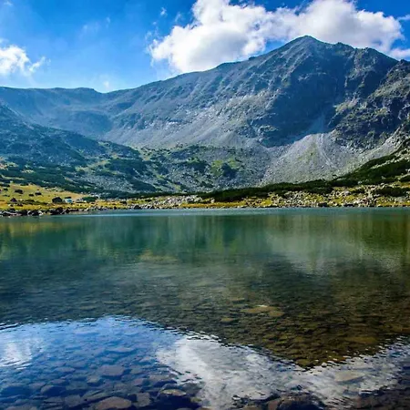 Pm Services Flora アパート