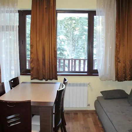 Pm Services Flora Borovets