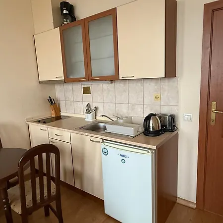 Pm Services Flora Borovets