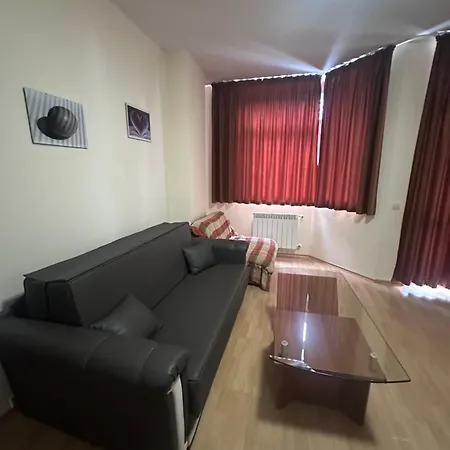Pm Services Flora Borovets