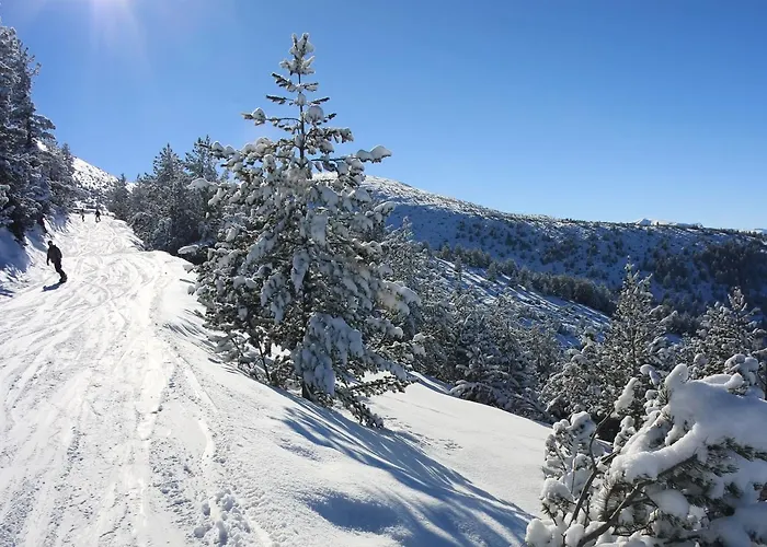 Pm Services Flora Апартаменты