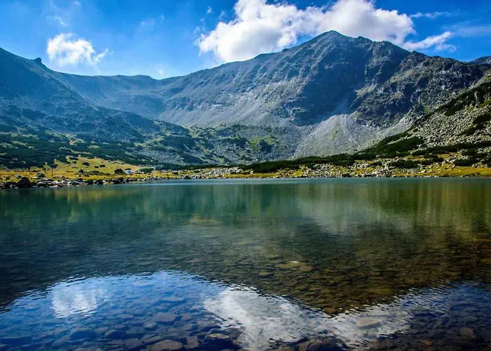 Pm Services Flora Апартаменты